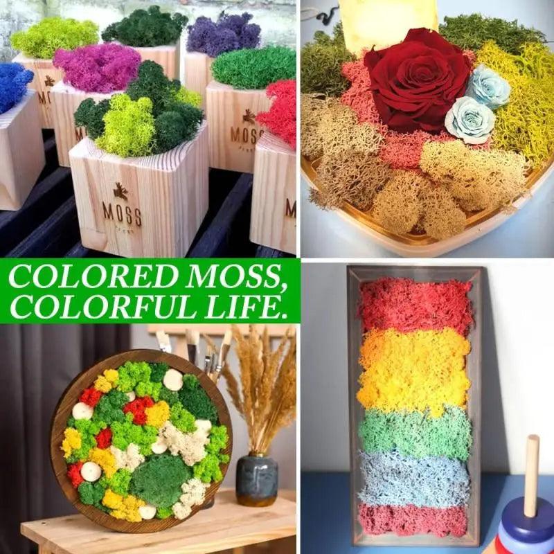 Artificial Green Moss for Home and Garden Decor - DIY Crafts and Gifts  ourlum.com   