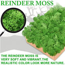 Artificial Green Moss for Home and Garden Decor - DIY Crafts and Gifts  ourlum.com   