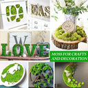 Artificial Green Moss for Home and Garden Decor - DIY Crafts and Gifts  ourlum.com   