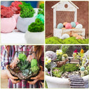 Artificial Green Moss for Home and Garden Decor - DIY Crafts and Gifts  ourlum.com   