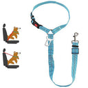 Premium Reflective Adjustable Dog Harness Leash with Anti-Shock Buffer - Ideal for Pet Safety and Comfort  ourlum.com Plus insert Lt. Blue  