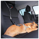 Premium Reflective Adjustable Dog Harness Leash with Anti-Shock Buffer - Ideal for Pet Safety and Comfort  ourlum.com   