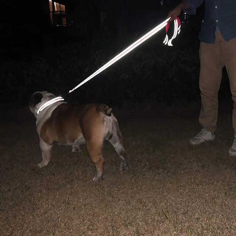 Nighttime Safety Reflective Dog Leash for Enhanced Visibility  ourlum.com   