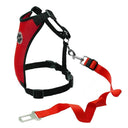 Breathable Mesh Dog Safety Harness with Vehicle Safety Belt - Medium to Large Dogs  ourlum.com   