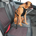 Breathable Mesh Dog Safety Harness with Vehicle Safety Belt - Medium to Large Dogs  ourlum.com   