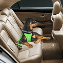 Breathable Mesh Dog Safety Harness with Vehicle Safety Belt - Medium to Large Dogs  ourlum.com   