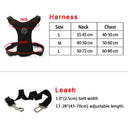 Breathable Mesh Dog Safety Harness with Vehicle Safety Belt - Medium to Large Dogs  ourlum.com   