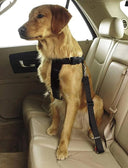 Adjustable Nylon Dog Leash with Car Safety Belt for Small to Medium Dogs  ourlum.com   