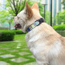 Nylon Floral Print Pet Collar with Adjustable Fit for Dogs and Cats  ourlum.com   