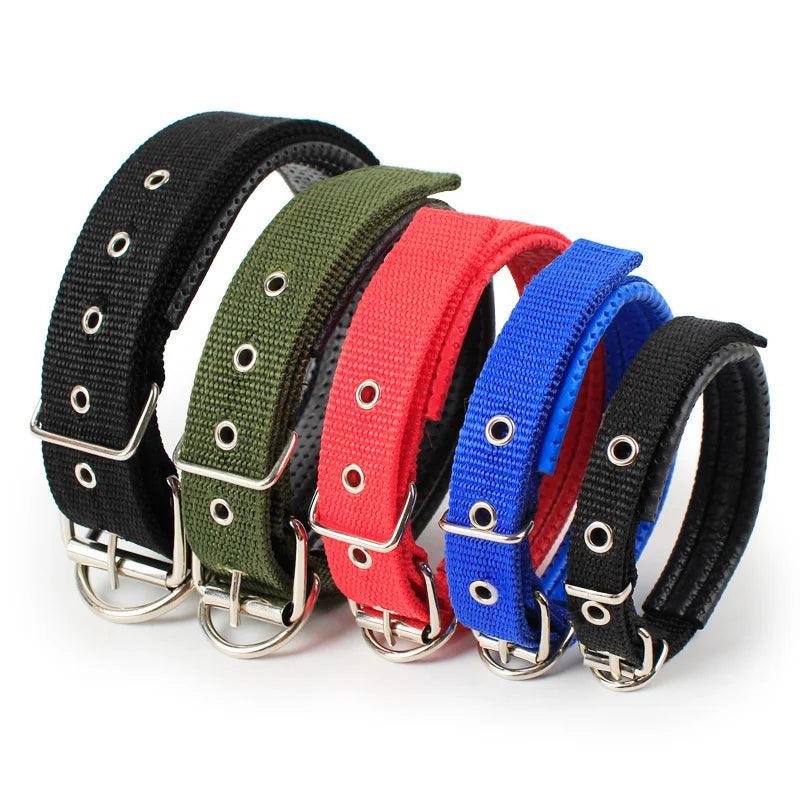 Adjustable Foam Padded Nylon Pet Collar for Dogs and Cats - Comfortable Neckband for Small to Large Pets  ourlum.com   