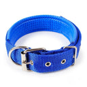 Adjustable Foam Padded Nylon Pet Collar for Dogs and Cats - Comfortable Neckband for Small to Large Pets  ourlum.com Blue S 1.5x40CM 