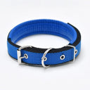 Adjustable Foam Padded Nylon Pet Collar for Dogs and Cats - Comfortable Neckband for Small to Large Pets  ourlum.com Blue Black Edge S 1.5x40CM 