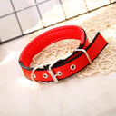 Adjustable Foam Padded Nylon Pet Collar for Dogs and Cats - Comfortable Neckband for Small to Large Pets  ourlum.com Red Black Edge S 1.5x40CM 