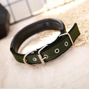 Adjustable Foam Padded Nylon Pet Collar for Dogs and Cats - Comfortable Neckband for Small to Large Pets  ourlum.com Green Black Edge S 1.5x40CM 