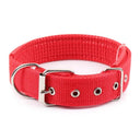 Adjustable Foam Padded Nylon Pet Collar for Dogs and Cats - Comfortable Neckband for Small to Large Pets  ourlum.com   