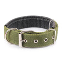 Adjustable Foam Padded Nylon Pet Collar for Dogs and Cats - Comfortable Neckband for Small to Large Pets  ourlum.com   