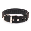 Adjustable Foam Padded Nylon Pet Collar for Dogs and Cats - Comfortable Neckband for Small to Large Pets  ourlum.com Black S 1.5x40CM 