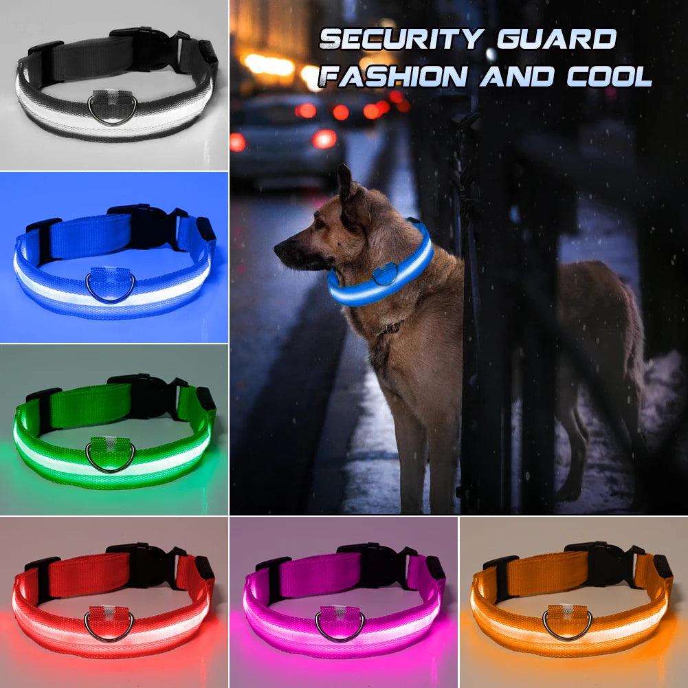 Light-Up Nylon Pet Collar for Small Dogs - Waterproof LED Safety Collar with Multiple Modes  ourlum.com   