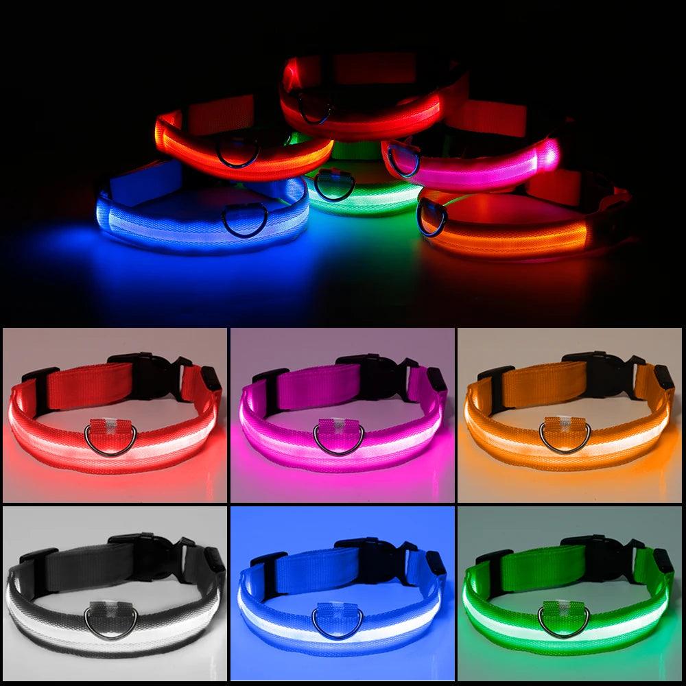 Light-Up Nylon Pet Collar for Small Dogs - Waterproof LED Safety Collar with Multiple Modes  ourlum.com   