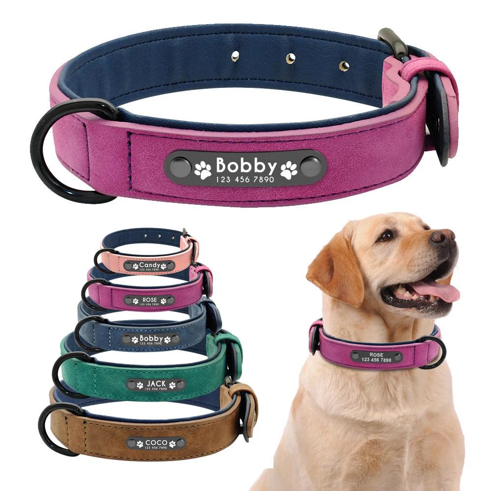 Personalized Leather Dog Collar with Inner Padding and ID Tag - Ideal for Pitbulls and Bulldogs  ourlum.com   