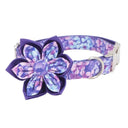 Enchanted Purple Floral Dog Collar Set Rose Gold Fashion