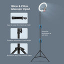 Professional Ring Light with Adjustable Tripod and Smartphone Holder