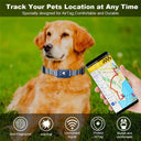 Adjustable Digital Print Pet Collar with Airtag Holder - Choose from S/M/L Sizes for Dogs and Cats  ourlum.com   