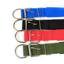 Durable Nylon Dog Collar for Various Breeds - Stylish and Safe Pet Accessory  ourlum.com   