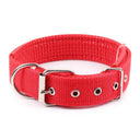 Durable Nylon Dog Collar for Various Breeds - Stylish and Safe Pet Accessory  ourlum.com Red S 