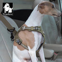 SafetyPlus Car Seat Belt Clip for Pets - Lightweight Aluminum Alloy Design - Quick Release & Secure - Black/Silver/Grey/Lilac/Light Green - Universal Compatibility - Truelove TLM1992/93  ourlum.com   