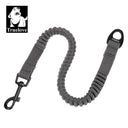 Truelove Stretchable Nylon Bungee Dog Leash for All Breed Training and Running (TLL2971)  ourlum.com Gray Lobster Clip M-(Puppy) United State