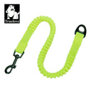 Truelove Stretchable Nylon Bungee Dog Leash for All Breed Training and Running (TLL2971)  ourlum.com Yellow Lobster Clip M-(Puppy) United State