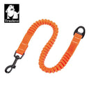 Truelove Stretchable Nylon Bungee Dog Leash for All Breed Training and Running (TLL2971)  ourlum.com Orange Lobster Clip M-(Puppy) United State