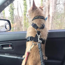 Dog Car Safety Belt with Reflective Nylon Material for Small to Large Dogs  ourlum.com   