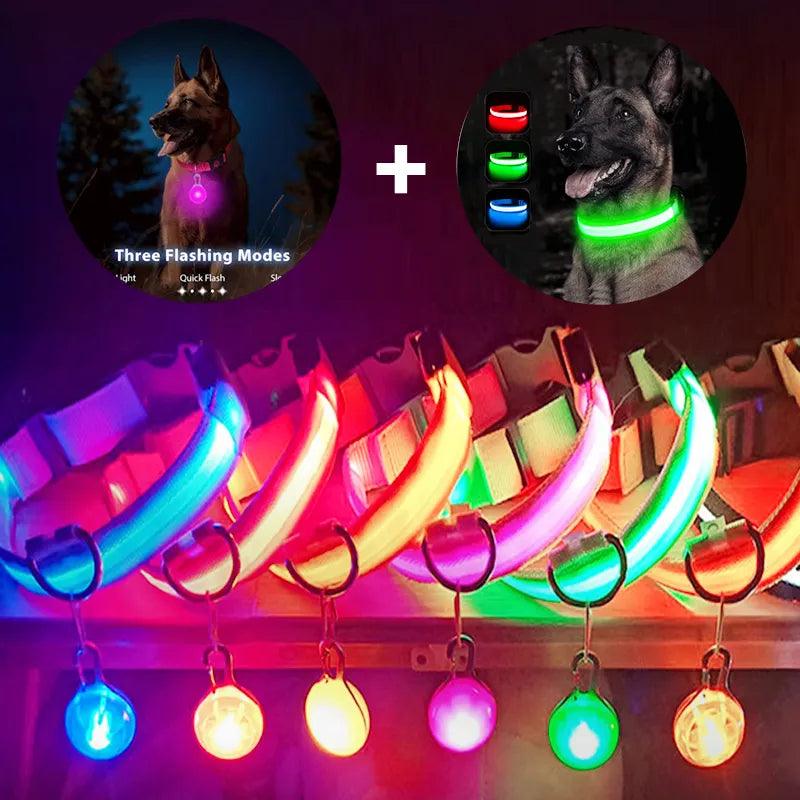 Glowing LED Safety Collar with Pendant for Small Dogs and Cats - Rechargeable USB - Night Visibility Solution  ourlum.com   