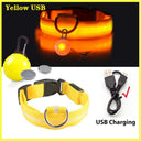 Glowing LED Safety Collar with Pendant for Small Dogs and Cats - Rechargeable USB - Night Visibility Solution  ourlum.com Yellow USB XS Neck 28-38 CM United State