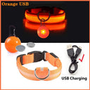 Glowing LED Safety Collar with Pendant for Small Dogs and Cats - Rechargeable USB - Night Visibility Solution  ourlum.com Orange USB XS Neck 28-38 CM United State