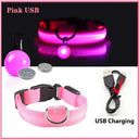 Glowing LED Safety Collar with Pendant for Small Dogs and Cats - Rechargeable USB - Night Visibility Solution  ourlum.com Pink USB XS Neck 28-38 CM United State