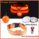 Glowing LED Safety Collar with Pendant for Small Dogs and Cats - Rechargeable USB - Night Visibility Solution  ourlum.com Orange ButtonBattery XS Neck 28-38 CM United State