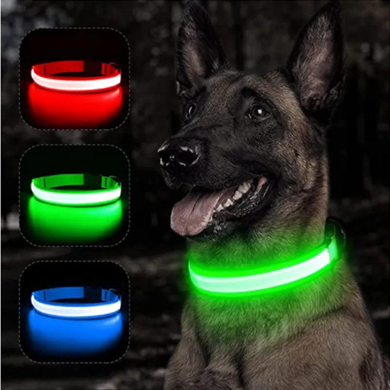 Glowing LED Safety Collar with Pendant for Small Dogs and Cats - Rechargeable USB - Night Visibility Solution  ourlum.com   