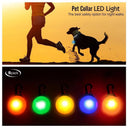 Glowing LED Safety Collar with Pendant for Small Dogs and Cats - Rechargeable USB - Night Visibility Solution  ourlum.com   