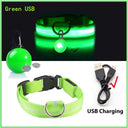 Glowing LED Safety Collar with Pendant for Small Dogs and Cats - Rechargeable USB - Night Visibility Solution  ourlum.com Green USB XS Neck 28-38 CM United State