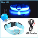 Glowing LED Safety Collar with Pendant for Small Dogs and Cats - Rechargeable USB - Night Visibility Solution  ourlum.com Blue USB XS Neck 28-38 CM United State