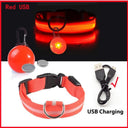 Glowing LED Safety Collar with Pendant for Small Dogs and Cats - Rechargeable USB - Night Visibility Solution  ourlum.com Red USB XS Neck 28-38 CM United State