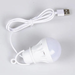 Portable LED Light Bulb: Versatile Mini Lamp for Camping & Study