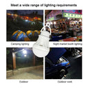 Portable LED Light Bulb Versatile Mini Lamp for Camping